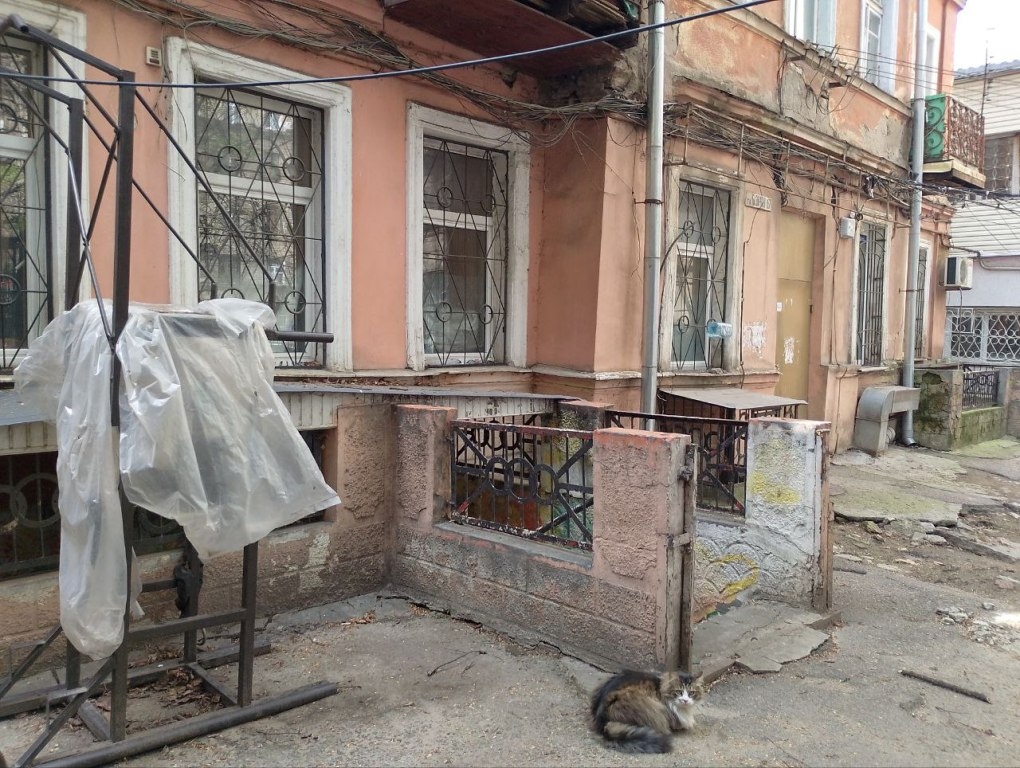 продажа офиса номер C-174115 в Приморском районе, фото номер 6